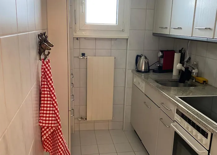 Wef Mit Weitsicht Apartment Davos